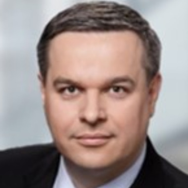 Projektový manažer, Konzultant