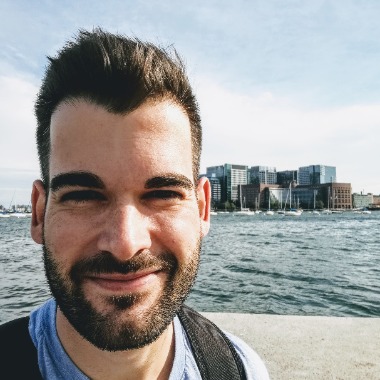 Project manager / Product owner / AI consultant